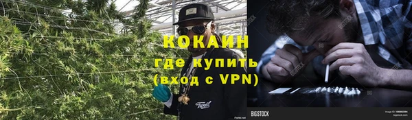 соль ск Алзамай