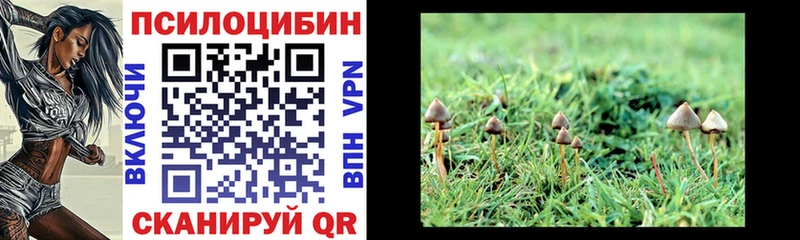 купить blacksprut ТОР Галлюциногенные грибы MAGIC MUSHROOMS Могоча
